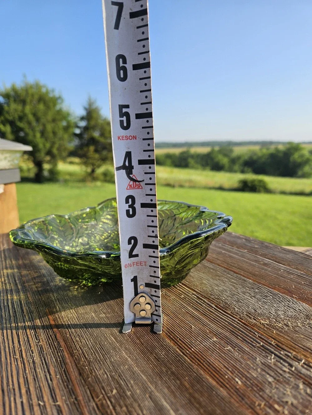 Green glass berry bowl with embossed leaf and berry design  #cottagecore
